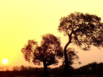 Silhouette tree against clear sky during sunset