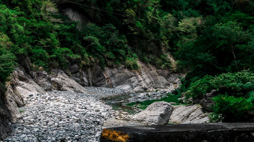 Scenic view of waterfall in forest against sky