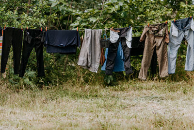 Clothes drying over field against trees