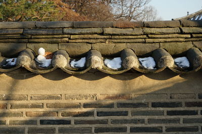 Low angle view of roof