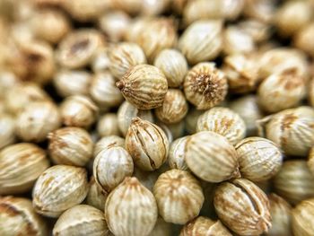 Full frame shot of coriander seeds