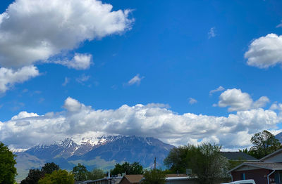 Panoramic view of trees and buildings against sky