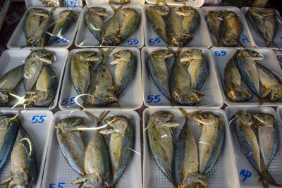 Fish for sale at market stall