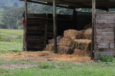 Hay bales on field