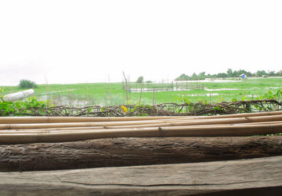 Surface level of agricultural field against clear sky