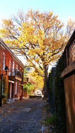 Building with trees in background