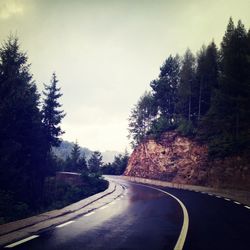 Empty road along trees
