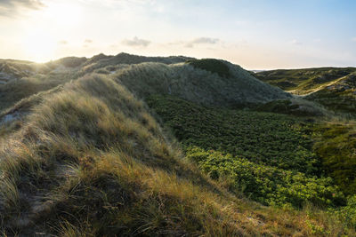 Scenic view of landscape against sky during sunset