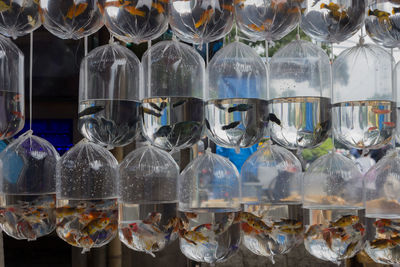 Full frame shot of bottles