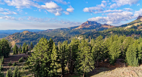 Panoramic shot of trees and mountains against sky