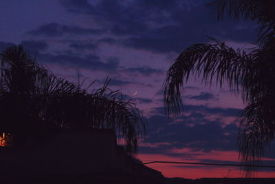 Silhouette of palm trees against dramatic sky