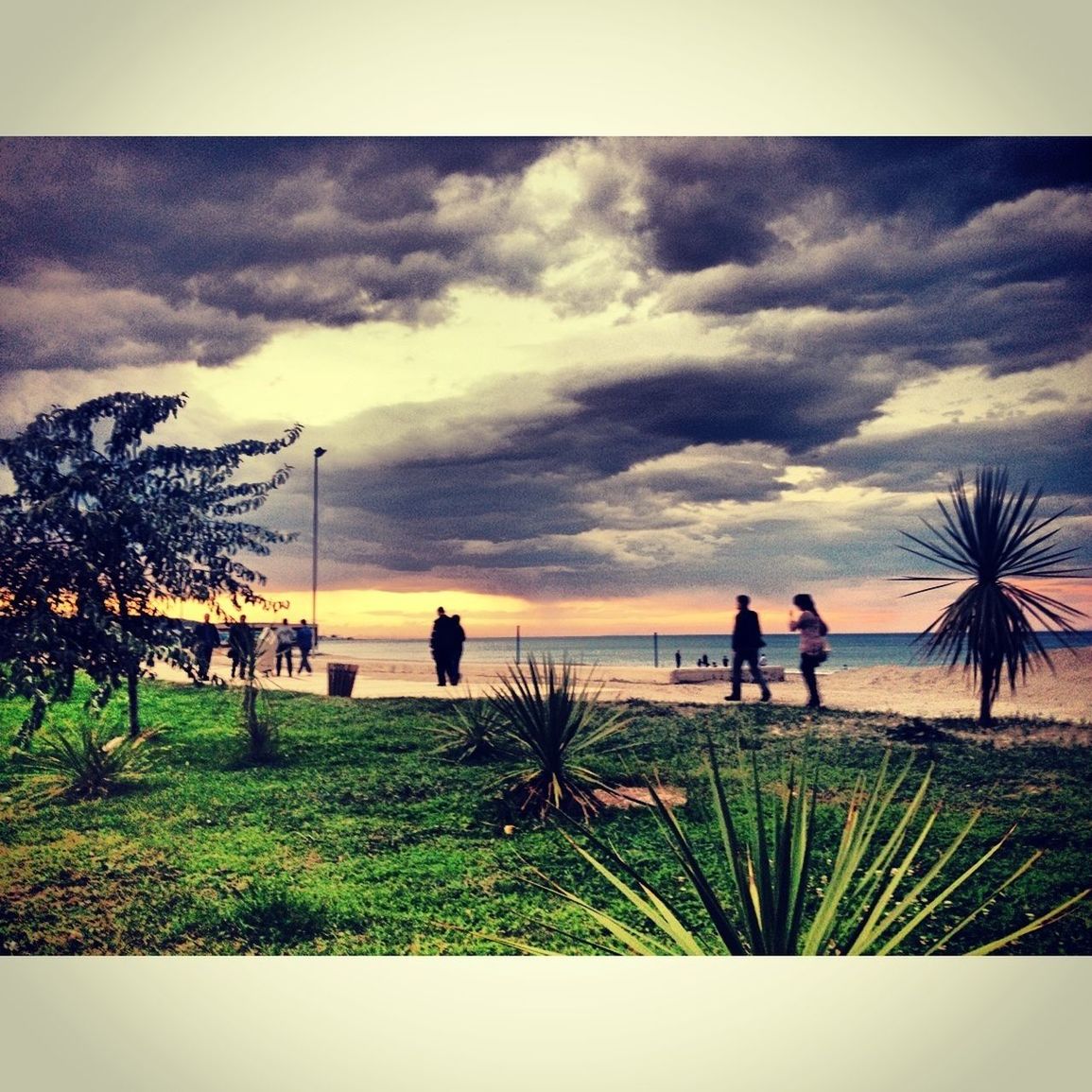 sky, cloud - sky, tranquil scene, scenics, tranquility, sea, horizon over water, beauty in nature, cloudy, beach, water, cloud, nature, grass, sunset, leisure activity, palm tree, lifestyles, landscape