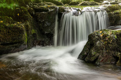 Scenic view of waterfall in forest