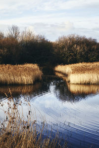 Scenic view of lake against sky