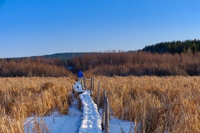 Rear view of man walking on snow covered boardwalk