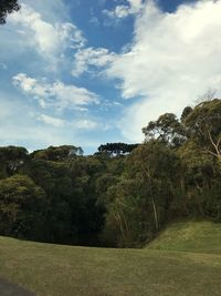 Trees on field against sky