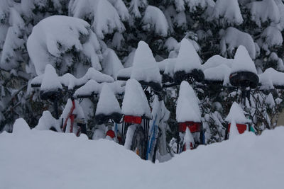 Snow covered trees