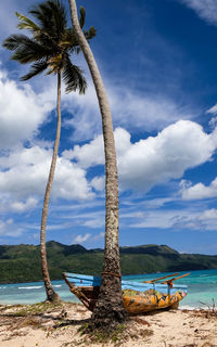 Palm trees on beach against sky