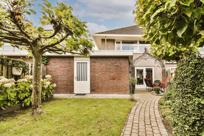 Plants growing outside house