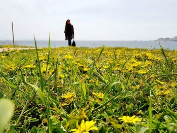 Woman standing by yellow flowers on field