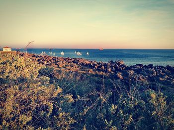 Scenic view of sea against clear sky