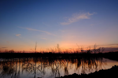 Scenic view of lake and silhouette grass against sky during sunset