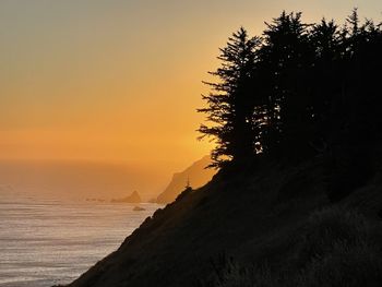 Silhouette tree by sea against sky during sunset