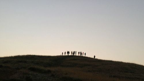 People standing on field
