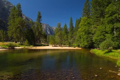 Reflection of trees in calm lake