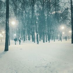 People walking on snow covered trees against sky