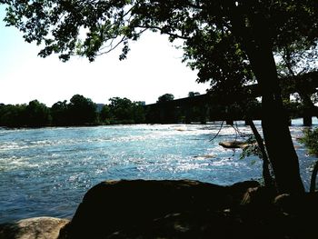 Reflection of trees in water