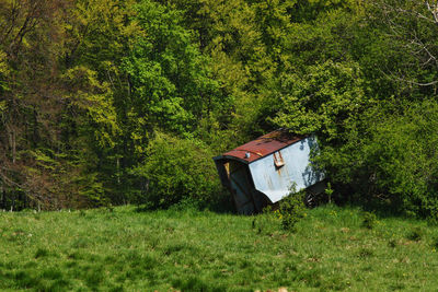 Built structure on field in forest