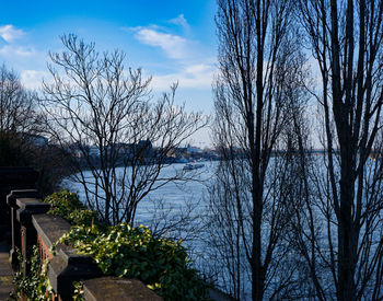 Bare trees by lake against sky