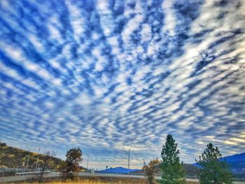 Low angle view of trees against cloudy sky