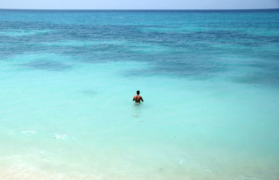 Rear view of man swimming in sea