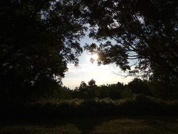 Silhouette trees on field against sky during sunset