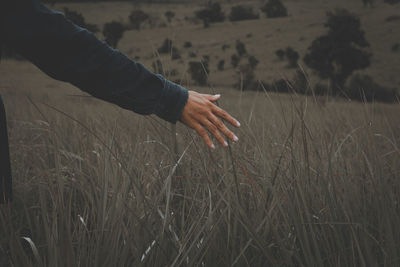 Cropped hand of woman touching plants on field