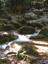 Stream flowing through rocks in forest