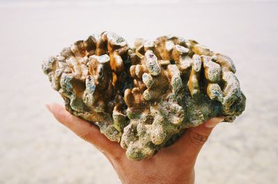 Close-up of human hand holding sand