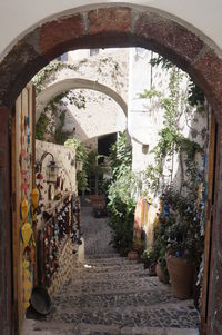 Plants in front of building