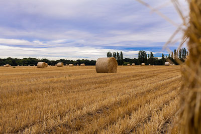 Hay bales on field against sky