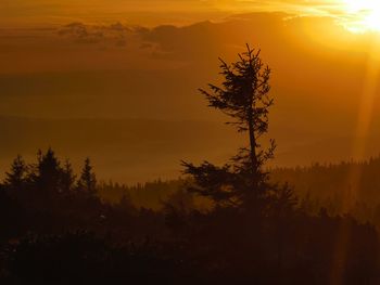 Silhouette trees against sky during sunset