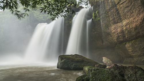 Scenic view of waterfall in forest