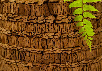 Full frame shot of bread on wall