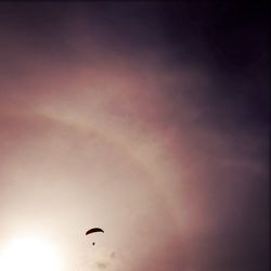 Low angle view of bird flying in sky