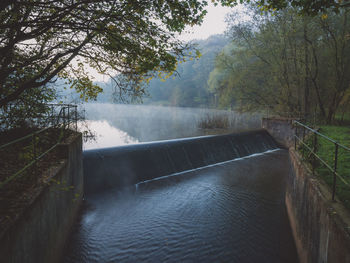 Scenic view of river in forest against sky