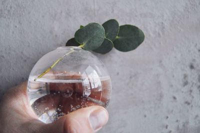 Close-up of hand holding glass against wall