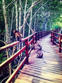 Birds perching on railing against trees