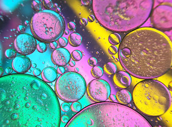 Colorful bubbles abstract background, oil bubbles in transparent liquid backdrop