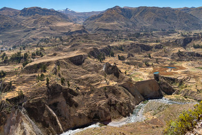 Scenic view of inca terraces still in use by farmers today at the colca canyon, peru